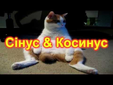 Видео: СИНУС & КОСИНУС