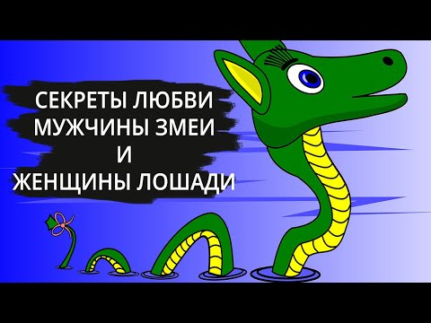 Видео: Совместимость мужчина Змея и женщина Лошадь