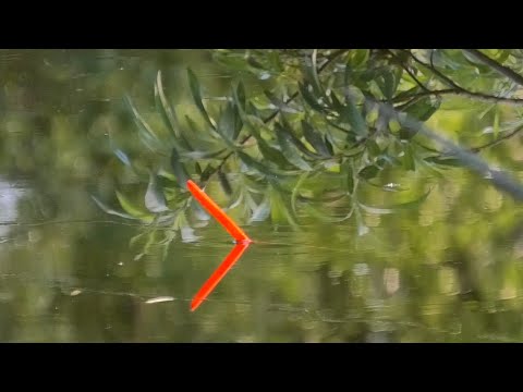 Видео: ПОЛОЖИЛО ПОПЛАВОК В КУСТАХ И...Рыбалка с ночевкой удалась?! Рыбалка на карася 2021