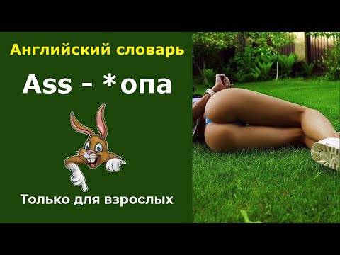 Видео: 🟢Смотри Английский Словарь для начинающих. 909 английских слов