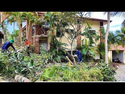 Видео: Мы были измотаны... Но это место ВОЗРОДИЛОСЬ всего за 72 часа!