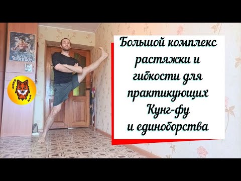 Видео: РАСТЯЖКА И ГИБКОСТЬ. Для практикующих Кунг-фу и единоборства. БОЛЬШОЙ КОМПЛЕКС.
