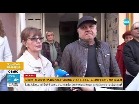 Видео: Миризма и денонощен шум: Съседи на семейство от Монтана се оплакват от тормоз