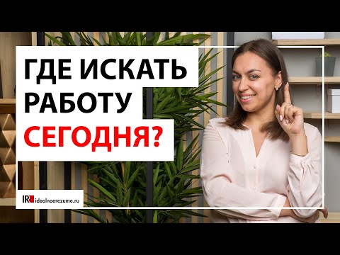 Видео: Где искать работу сегодня?