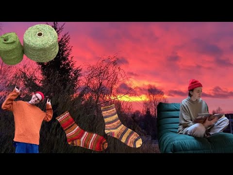 Видео: ТВИД с Авито, «БАТЯ» настигает Макса, ДВЕ пары ГОТОВЫХ носков, всякий НОВЫЙ шёлк, ЧИТАЮ вслух