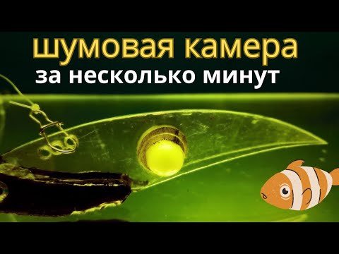 Видео: Как сделать быстро  шумовую камеру для рыболовных  приманок