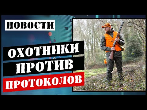 Видео: Транспортировка оружия/Сигнальные жилеты/Нахождение с собаками приравнивается к охоте/Суд. практика