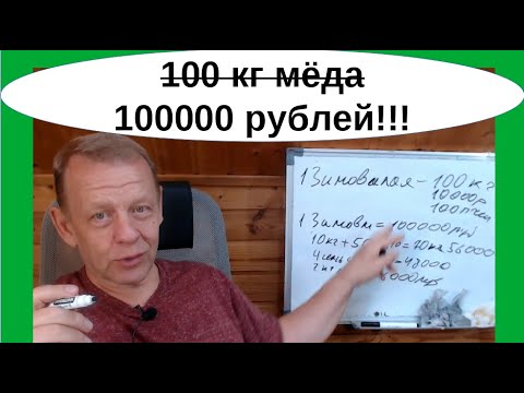 Видео: Задача пчеловодства как бизнес не 100кг мёда, а 100000 рублей с зимовалой пчелосемьи в ульях-лежаках