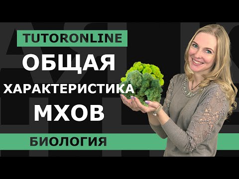 Видео: Биология | Общая характеристика мхов. Мхи и лишайники