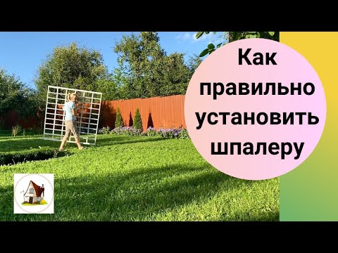Видео: Установка шпалеры для вьющихся растений.
