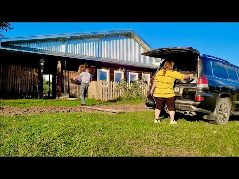 Видео: Старый дом в деревне | Змея, Цапля, Косуля | Настраиваем быт в деревне | Первая баня в деревне