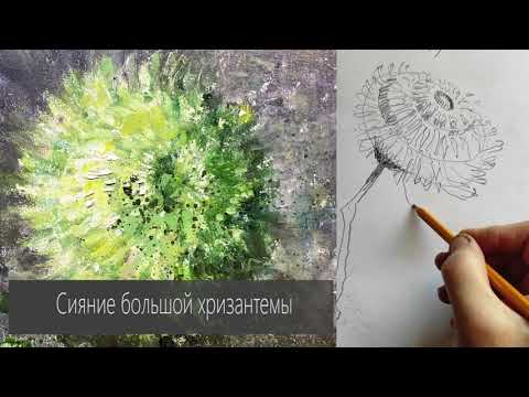 Видео: Что нужно знать, чтобы нарисовать Хризантему? Подробный разбор цветка от Елены Ильичевой