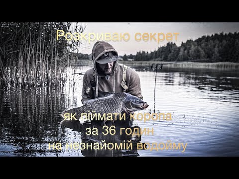 Видео: Як піймати коропа за 36 годин, на незнайомій водоймі