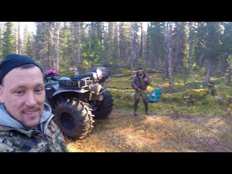 Видео: Квадроцикл СОКОЛ 1.5  проехали по бездорожью 400км