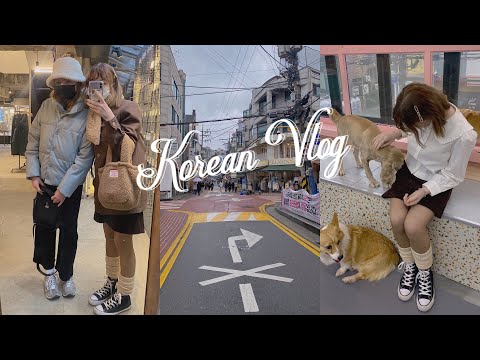 Видео: ~ vlog ~. новый год, самгепсаль с друзьями, много хондэ и кафе с собачками 🪄