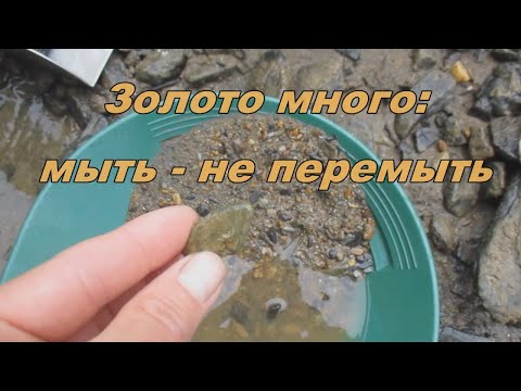 Видео: Золото много: мыть не перемыть