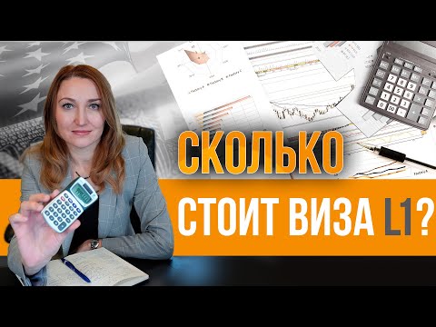 Видео: Сколько стоит виза L1A. Какие расходыждут владельца бизнеса в США. Почему виза L1A это ТАК дорого?