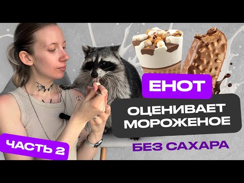 Видео: ЕНОТ ОЦЕНИВАЕТ МОРОЖЕНОЕ БЕЗ САХАРА 2 ЧАСТЬ