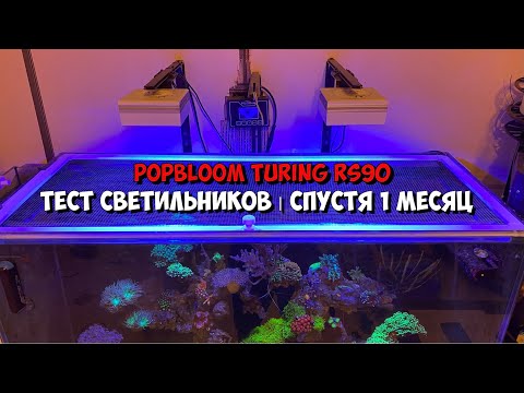 Видео: Светильники для морского аквариума | PopBloom Turing rs90