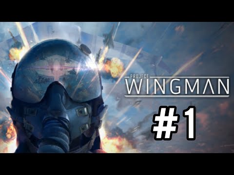 Видео: Project Wingman / Прохождение (Часть 1)