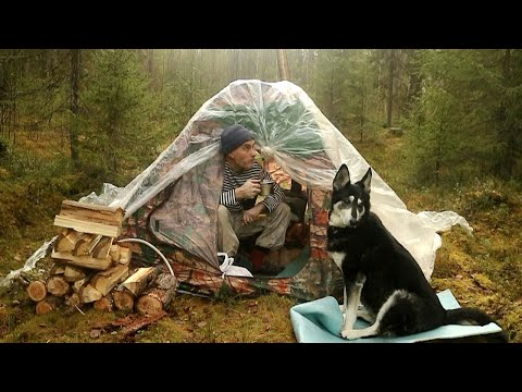 Видео: Палатка печка и тайга