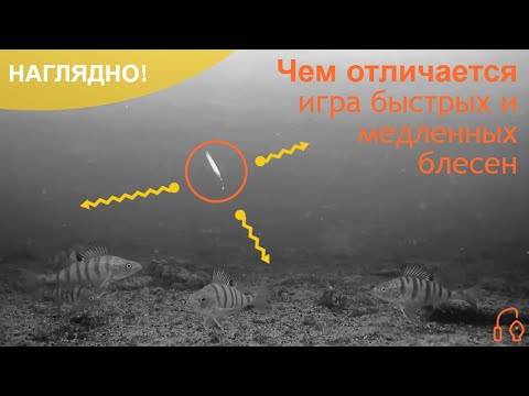 Видео: Наглядно! Чем быстрые блесны отличаются от медленных