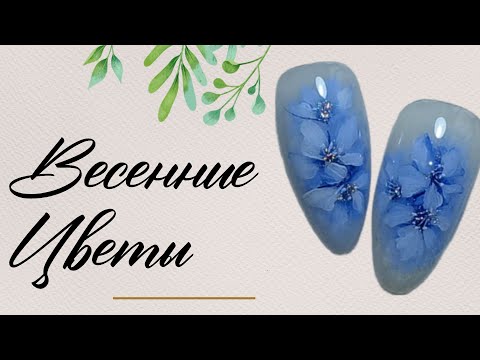 Видео: Nail Design ideas 2024:Manicure ideas!ВЕСЕННИЕ ЦВЕТЫ