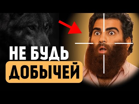 Видео: Как выбраться из мира дегенератов и не сойти с ума: Арсен Маркарян