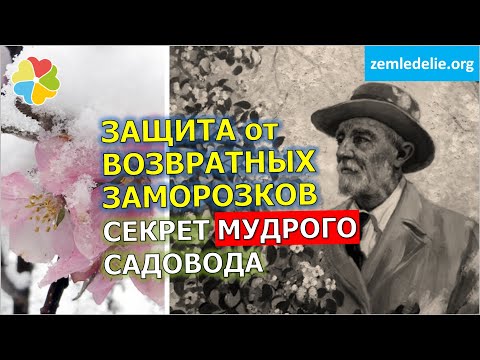 Видео: #21 Простейший рецепт защиты сада от возвратных весенних заморозков