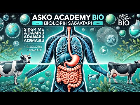 Видео: Сиыр мен адамның асқорыту жүйесінің айырмашылығы | Биология сабағы