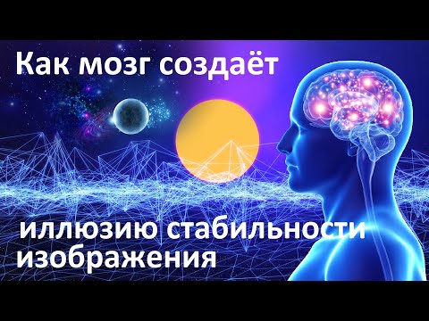 Видео: Как мозг обманывает нас | Нейрофизиологический механизм стабилизирует изображение