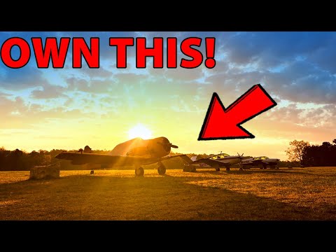 Видео: Как создать компанию Warbird!