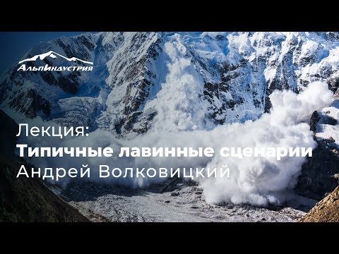 Видео: Лекция: Типичные лавинные сценарии | Андрей Волковицкий