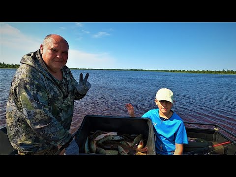 Видео: КРУТЫЕ ГОРБАЧИ И ДЕРЗКИЕ ЩУЧКИ ВСТРЕТИЛИ НАС ОТЛИЧНЫМ КЛЁВОМ НА ПЕРВОЙ РЫБАЛКЕ С КАРАКАТА)!