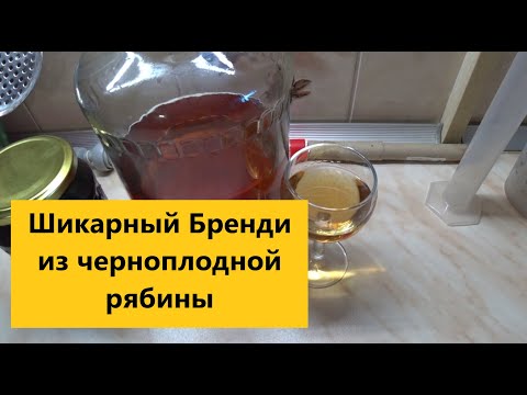 Видео: Рецепт бренди из черноплодной рябины! Благородный дистиллят из черноплодки. Просто и доступно.