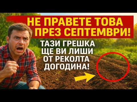 Видео: Не правете това през септември! Тази грешка ще ви лиши от реколта догодина.