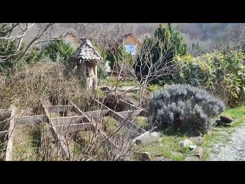 Видео: 19.04.23 воскресенье. Возрождение