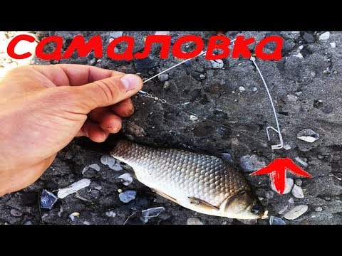 Видео: Рыбалка САМА ЛОВИТЬ РЫБУ