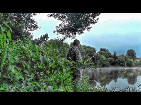 Видео: ДУШЕВНАЯ РЫБАЛКА У ДОМА НА ПОПЛАВОК В НОВОМ МЕСТЕ! ПОДЛЕЩИК АТАКУЕТ!!!🎣