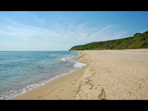 Видео: Дивите плажове на Шкорпиловци, "№1 – Туризмът" - 13.03.2022