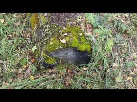 Видео: Сувель.Два перевала. Осень. Село Малая Черга.