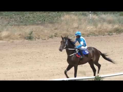 Видео: Открытые и именные призы 2017