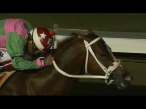 Видео: Golden State Million Futurity 2019 на ипподроме Лос-Аламитос