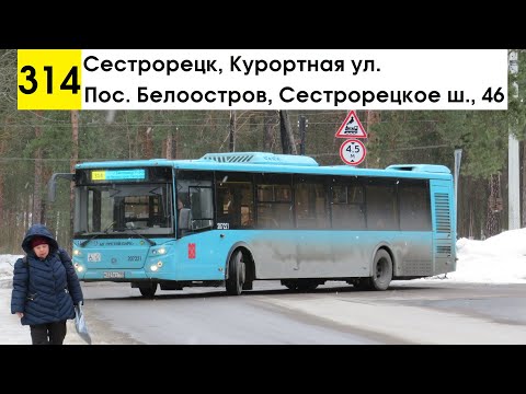 Видео: Автобус 314 "Сестрорецк, Курортная ул. - пос. Белоостров, Сестрорецкое шоссе, 46" (маршрут закрыт)