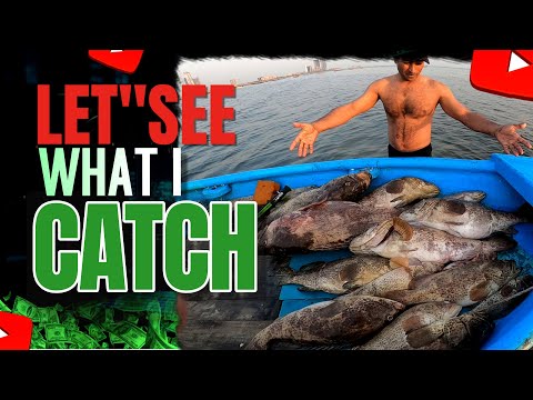 Видео: Рай для гигантских груперов | Подводная охота в Клифтоне, Карачи | Подводная охота Акифа Раджа