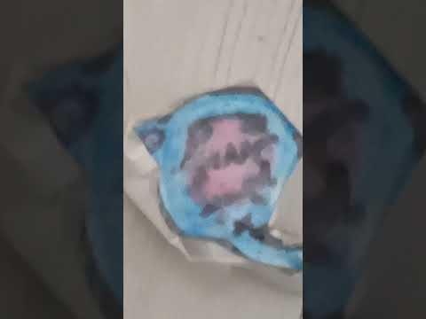 Видео: обезьяны 🐵