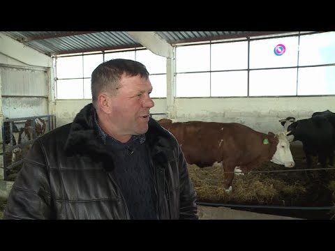 Видео: Земля-кормилица