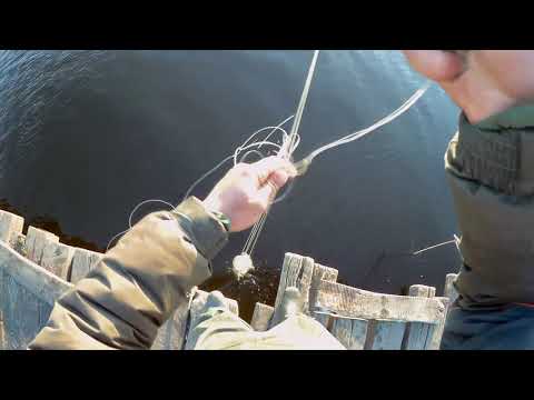 Видео: Очень интересная снасть!!!Паук и Кастинговая отдыхают в сторонке!!!ХАПУГА в деле!!!