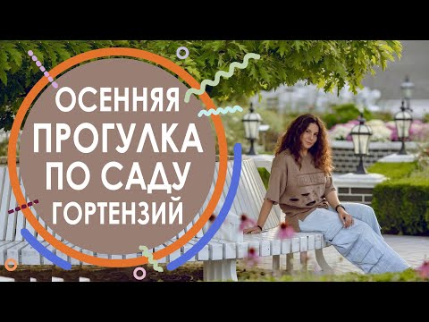 Видео: Осенняя прогулка по саду гортензий