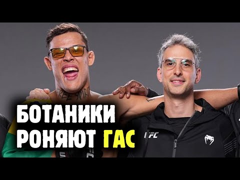 Видео: БОЕВЫЕ БОТАНИКИ (не те) не проигрывают в UFC! Обзор самой перспективной команды в ММА от Яниса